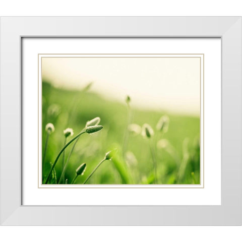 The Dance White Modern Wood Framed Art Print with Double Matting by Cochrane, Carolyn