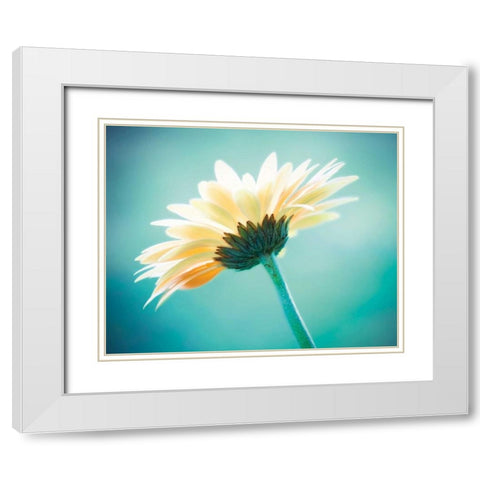 Vanity White Modern Wood Framed Art Print with Double Matting by Cochrane, Carolyn