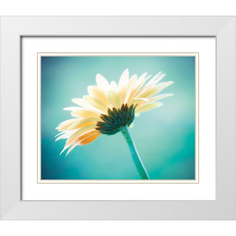 Vanity White Modern Wood Framed Art Print with Double Matting by Cochrane, Carolyn