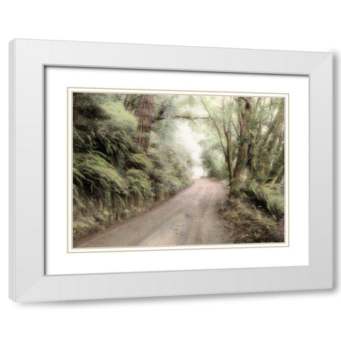 Lost Coast Road White Modern Wood Framed Art Print with Double Matting by Culver, Laura