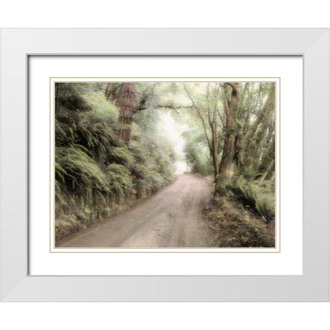 Lost Coast Road White Modern Wood Framed Art Print with Double Matting by Culver, Laura