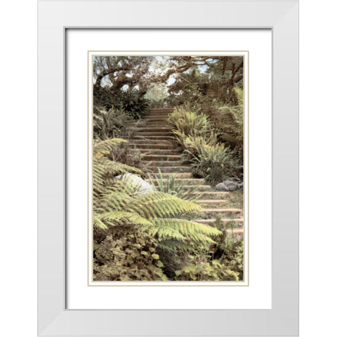 Secret Steps White Modern Wood Framed Art Print with Double Matting by Culver, Laura