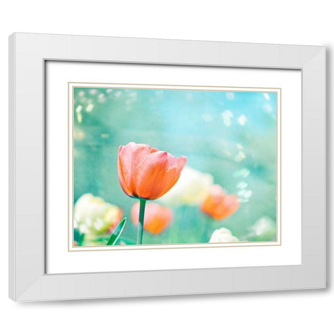 Garden of Dreams White Modern Wood Framed Art Print with Double Matting by Cochrane, Carolyn