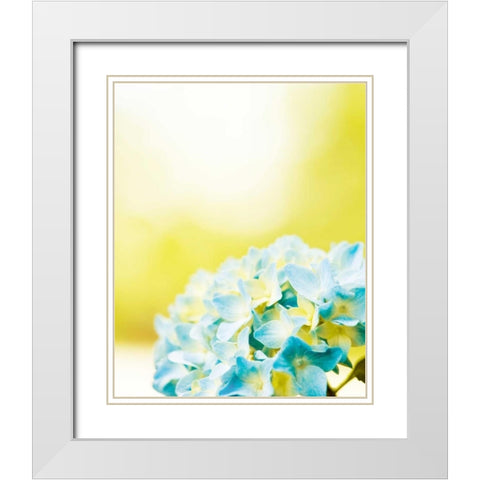 Hydrangea White Modern Wood Framed Art Print with Double Matting by Cochrane, Carolyn