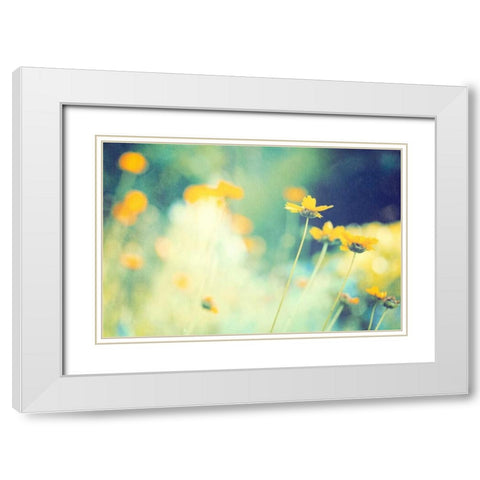 In the Meadow White Modern Wood Framed Art Print with Double Matting by Cochrane, Carolyn