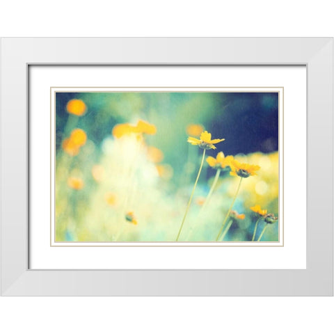 In the Meadow White Modern Wood Framed Art Print with Double Matting by Cochrane, Carolyn