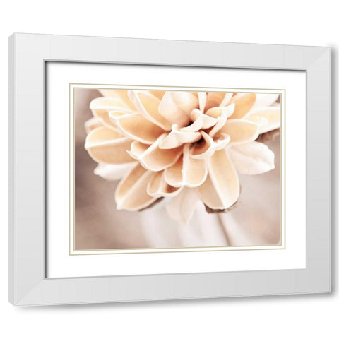 Touched By an Angel White Modern Wood Framed Art Print with Double Matting by Cochrane, Carolyn
