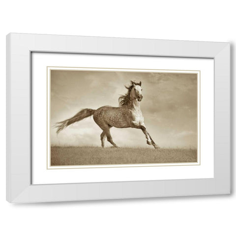 Like The Wind White Modern Wood Framed Art Print with Double Matting by Dearing, Lisa