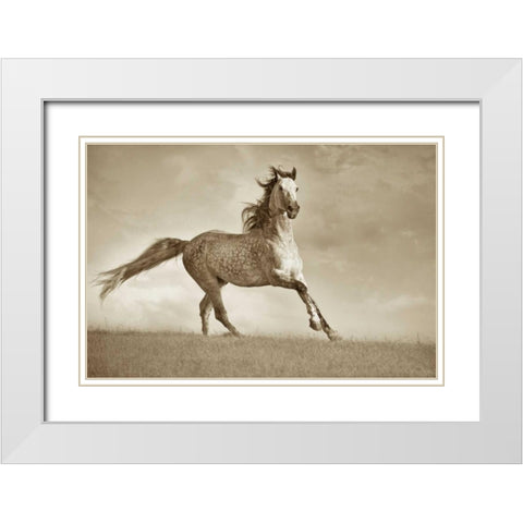 Like The Wind White Modern Wood Framed Art Print with Double Matting by Dearing, Lisa