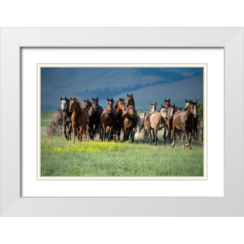 Montana Thunder White Modern Wood Framed Art Print with Double Matting by Dearing, Lisa