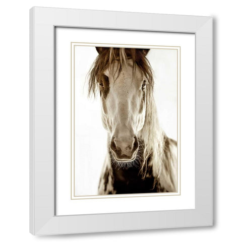 Wilbur Cruz White Modern Wood Framed Art Print with Double Matting by Dearing, Lisa