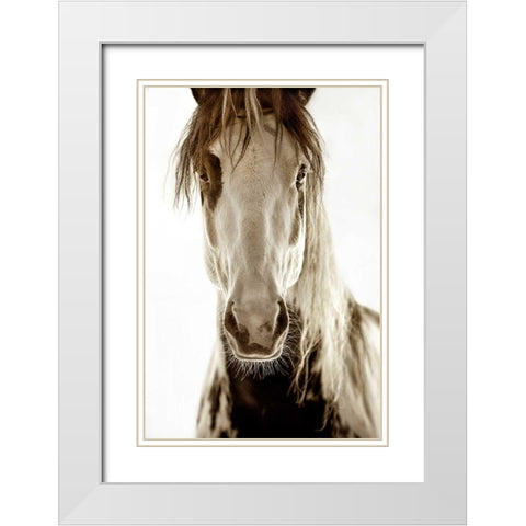 Wilbur Cruz White Modern Wood Framed Art Print with Double Matting by Dearing, Lisa