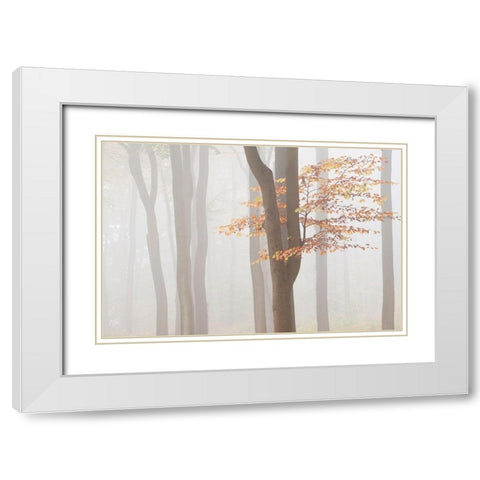Arnhem Park Zypendaal White Modern Wood Framed Art Print with Double Matting by Dragt, Wilco
