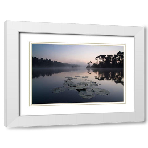 Oisterwijkse Vennen White Modern Wood Framed Art Print with Double Matting by Dragt, Wilco