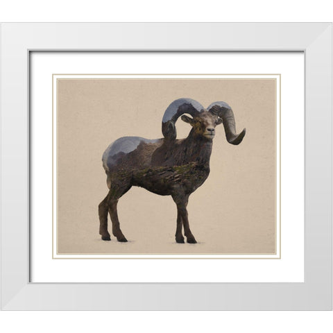Rocky Mountain Bighorn White Modern Wood Framed Art Print with Double Matting by Davies Babies