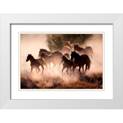 Horses White Modern Wood Framed Art Print with Double Matting by Dearing, Lisa