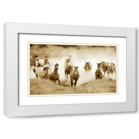 San Cristobol Horses White Modern Wood Framed Art Print with Double Matting by Dearing, Lisa