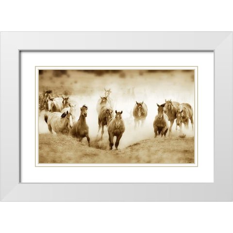 San Cristobol Horses White Modern Wood Framed Art Print with Double Matting by Dearing, Lisa