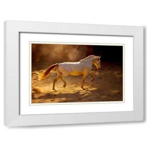 Dancing In The Light White Modern Wood Framed Art Print with Double Matting by Dearing, Lisa