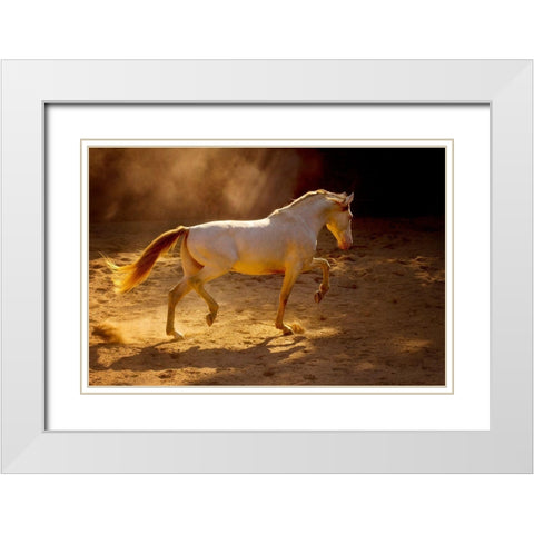 Dancing In The Light White Modern Wood Framed Art Print with Double Matting by Dearing, Lisa