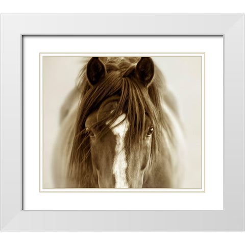 Ghost Horse White Modern Wood Framed Art Print with Double Matting by Dearing, Lisa