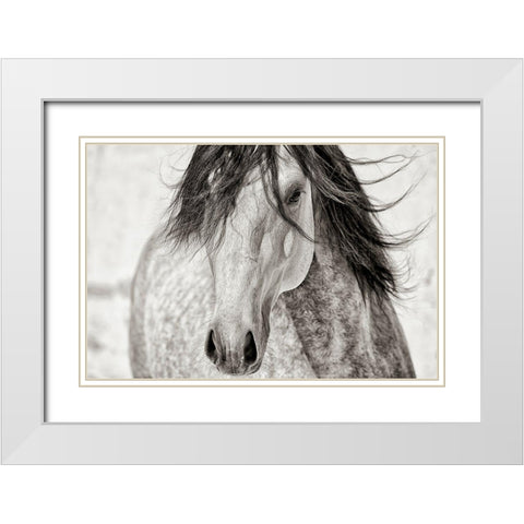 My Beautiful Mane White Modern Wood Framed Art Print with Double Matting by Dearing, Lisa