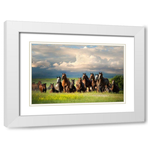 Running Free II White Modern Wood Framed Art Print with Double Matting by Dearing, Lisa