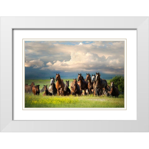 Running Free II White Modern Wood Framed Art Print with Double Matting by Dearing, Lisa