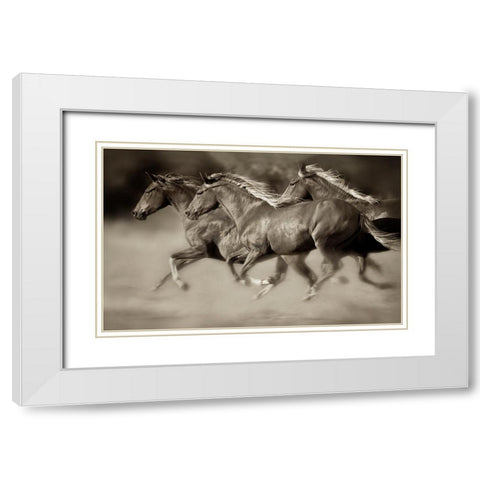 Wind Runners White Modern Wood Framed Art Print with Double Matting by Dearing, Lisa