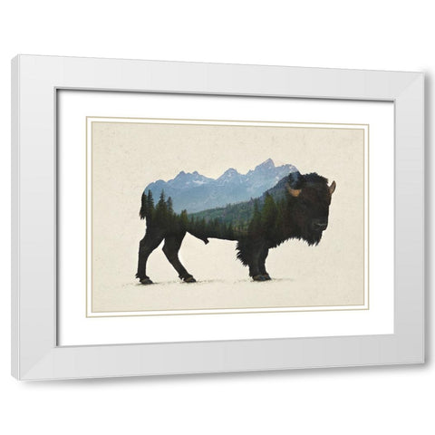 Grand Teton Bison White Modern Wood Framed Art Print with Double Matting by Davies Babies