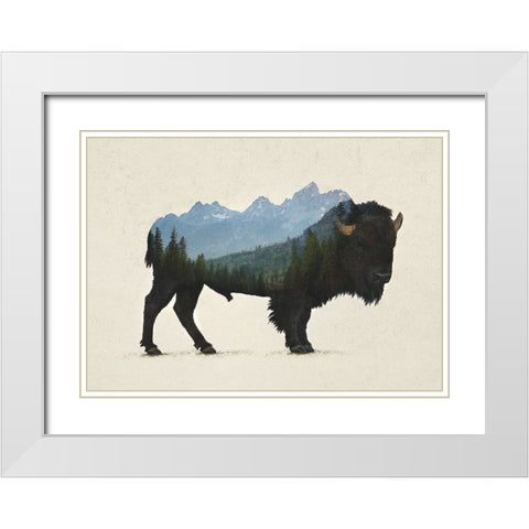 Grand Teton Bison White Modern Wood Framed Art Print with Double Matting by Davies Babies
