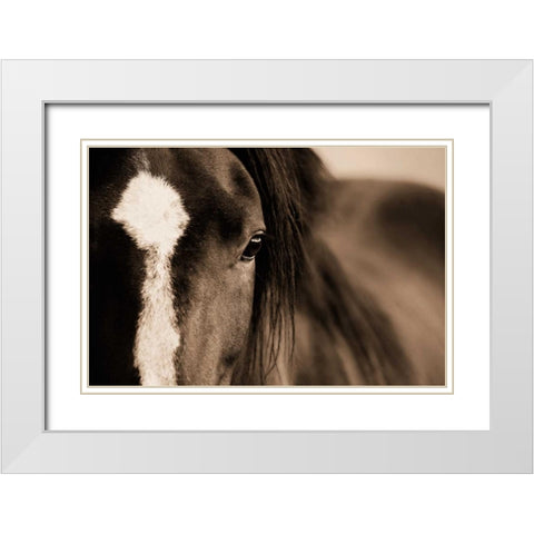 Dark Eyes White Modern Wood Framed Art Print with Double Matting by Dearing, Lisa