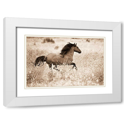 Running Free White Modern Wood Framed Art Print with Double Matting by Dearing, Lisa
