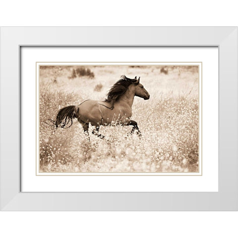 Running Free White Modern Wood Framed Art Print with Double Matting by Dearing, Lisa