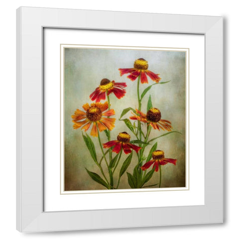 Cabaret White Modern Wood Framed Art Print with Double Matting by Disher, Mandy