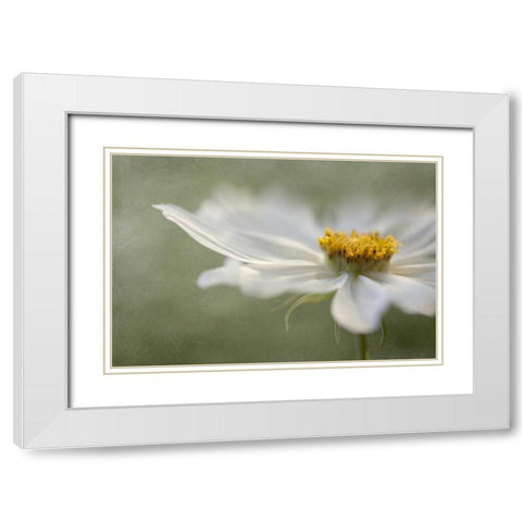 Whisper White Modern Wood Framed Art Print with Double Matting by Disher, Mandy