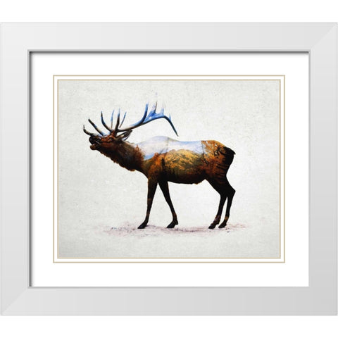 Rocky Mountain Elk White Modern Wood Framed Art Print with Double Matting by Davies Babies