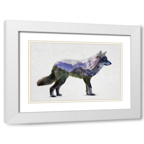 Rocky Mountain Grey Wolf White Modern Wood Framed Art Print with Double Matting by Davies Babies