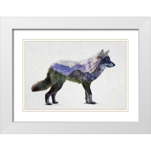 Rocky Mountain Grey Wolf White Modern Wood Framed Art Print with Double Matting by Davies Babies