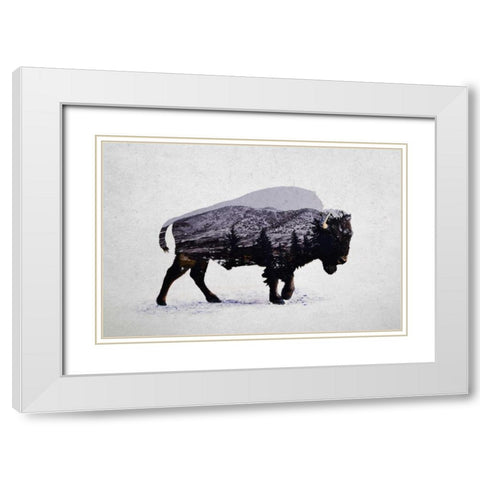 The American Bison White Modern Wood Framed Art Print with Double Matting by Davies Babies