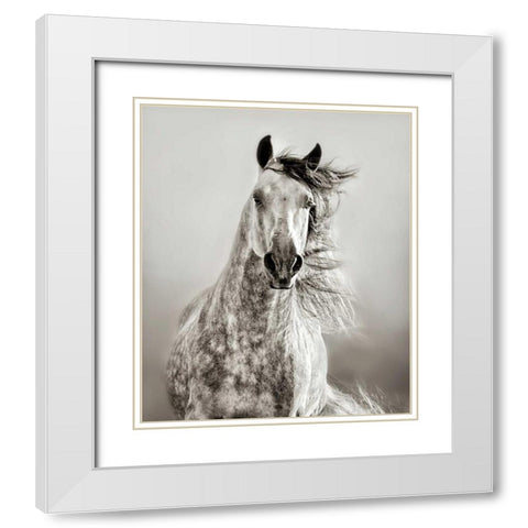 Caballo de Andaluz White Modern Wood Framed Art Print with Double Matting by Dearing, Lisa