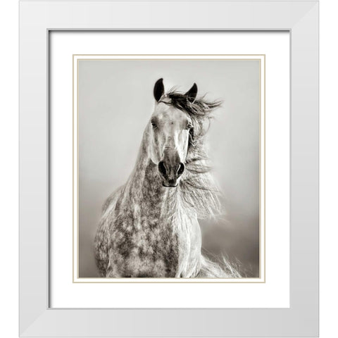 Caballo de Andaluz White Modern Wood Framed Art Print with Double Matting by Dearing, Lisa