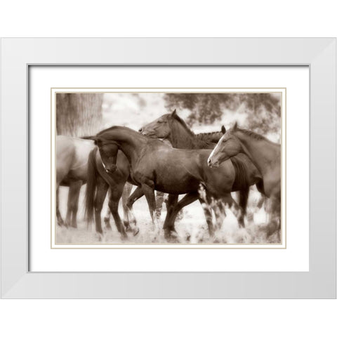 The Herd White Modern Wood Framed Art Print with Double Matting by Dearing, Lisa