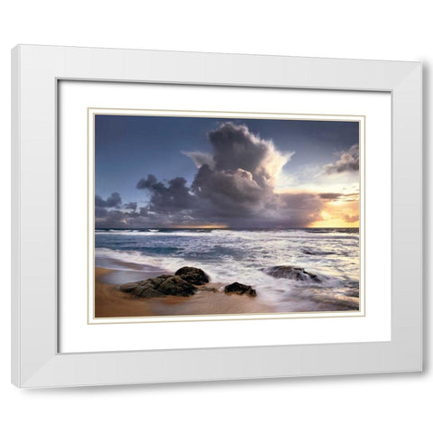 Forces of Nature White Modern Wood Framed Art Print with Double Matting by Foster, Christopher