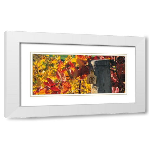 Row 88 White Modern Wood Framed Art Print with Double Matting by Foster, Christopher