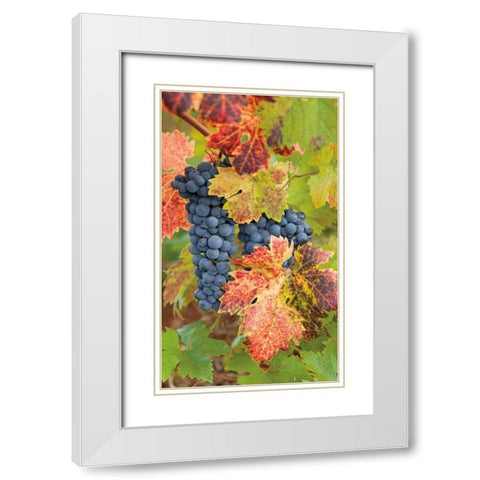 Summit Lake Zinfandel White Modern Wood Framed Art Print with Double Matting by Foster, Christopher