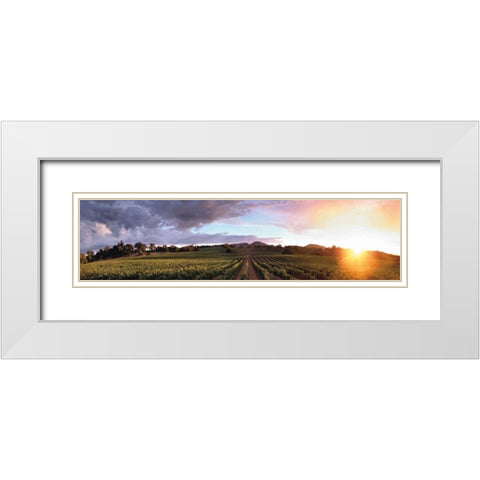 Gout de Terroir White Modern Wood Framed Art Print with Double Matting by Foster, Christopher