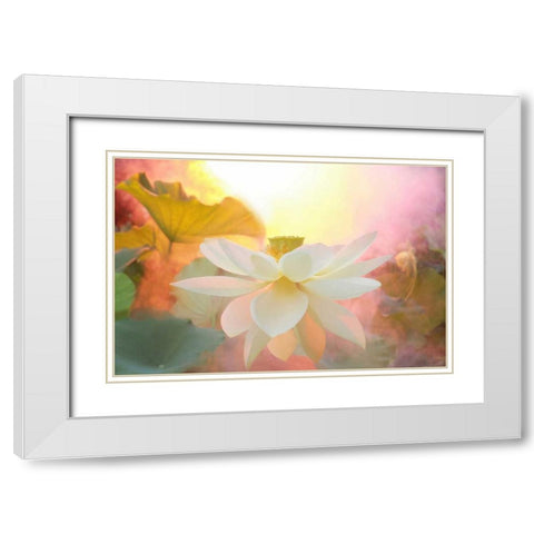 Arise White Modern Wood Framed Art Print with Double Matting by Farzad, Bahman
