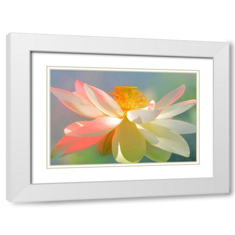 Dancing Queen White Modern Wood Framed Art Print with Double Matting by Farzad, Bahman