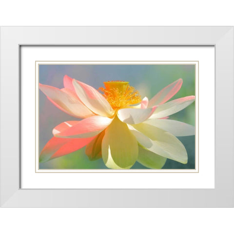 Dancing Queen White Modern Wood Framed Art Print with Double Matting by Farzad, Bahman